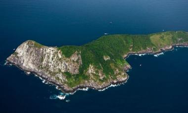 Ужасающий остров змей в бразилии Змеиный остров бразилия на карте
